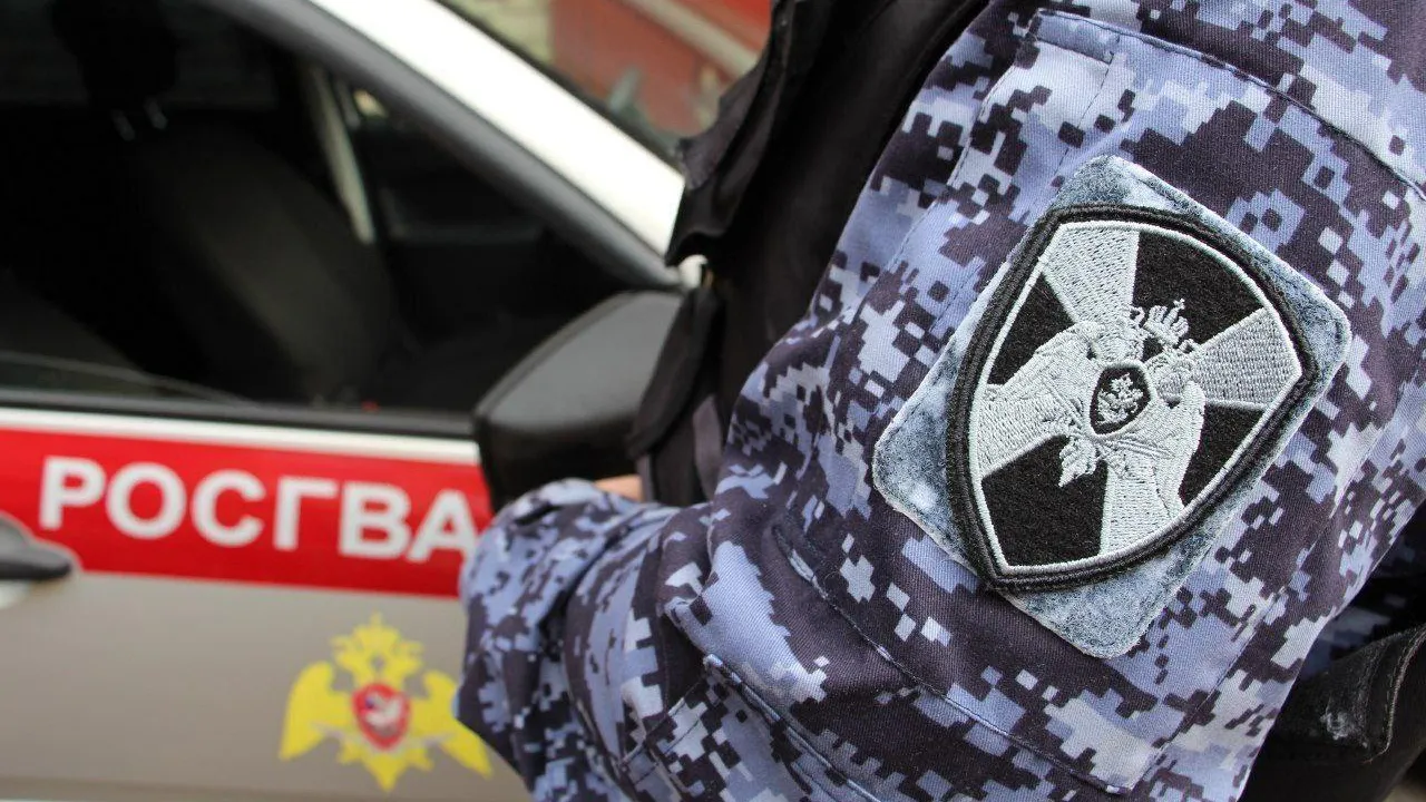 Подмосковные росгвардейцы задержали подозреваемого в краже телефона