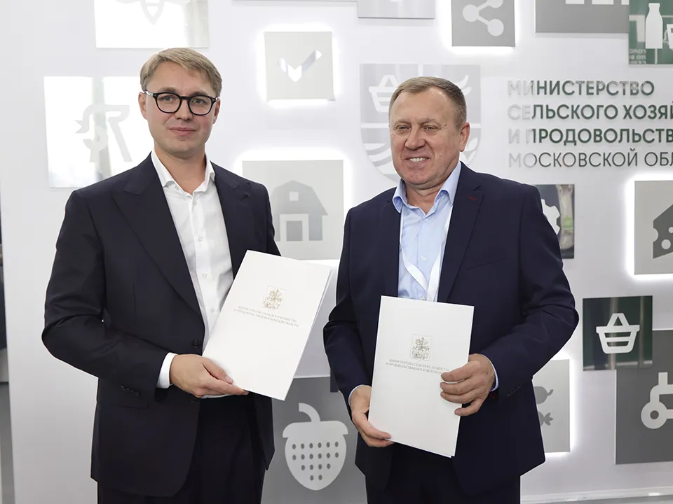 Фото: Мария Евсютина