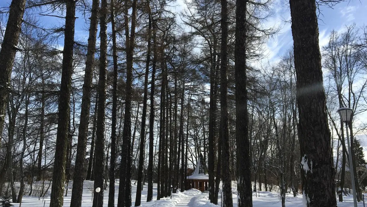 Министерство культуры и туризма Московской области