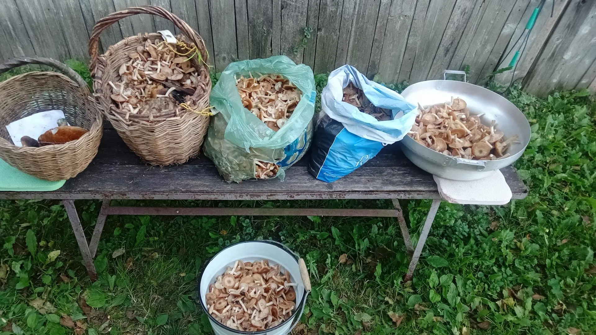 Подслушано Запрудня/ВКонтакте