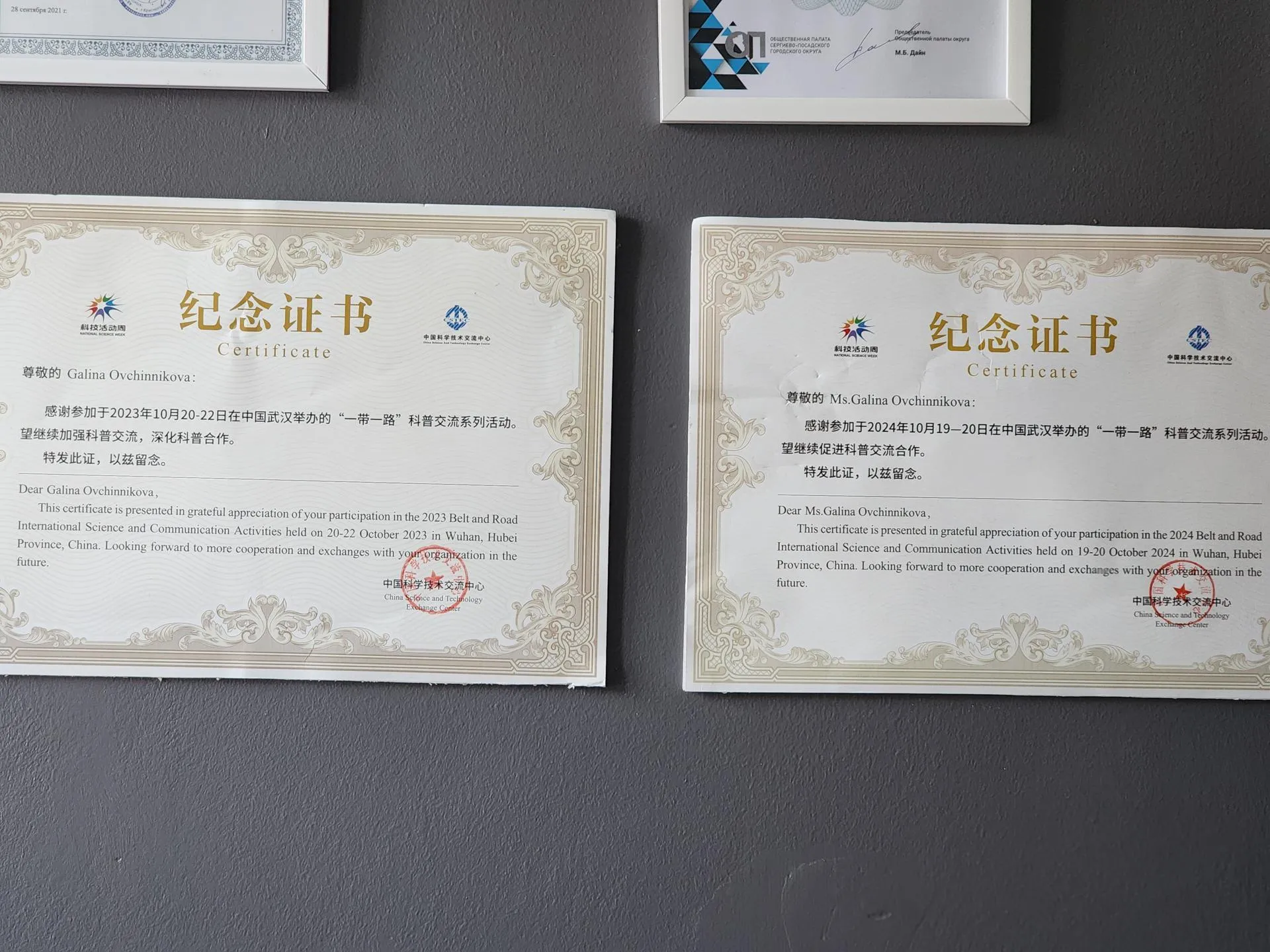 REGIONS/Елена Шумакова