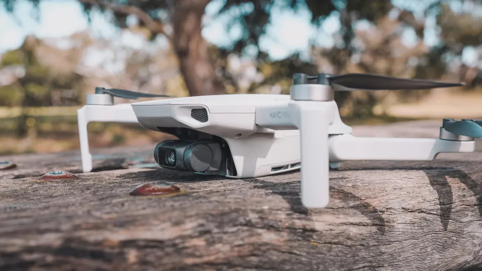 Фото: unsplash.com