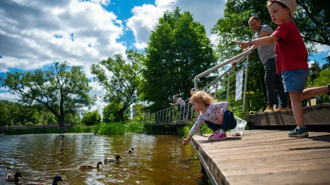 Фото: Министерство благоустройства Московской области