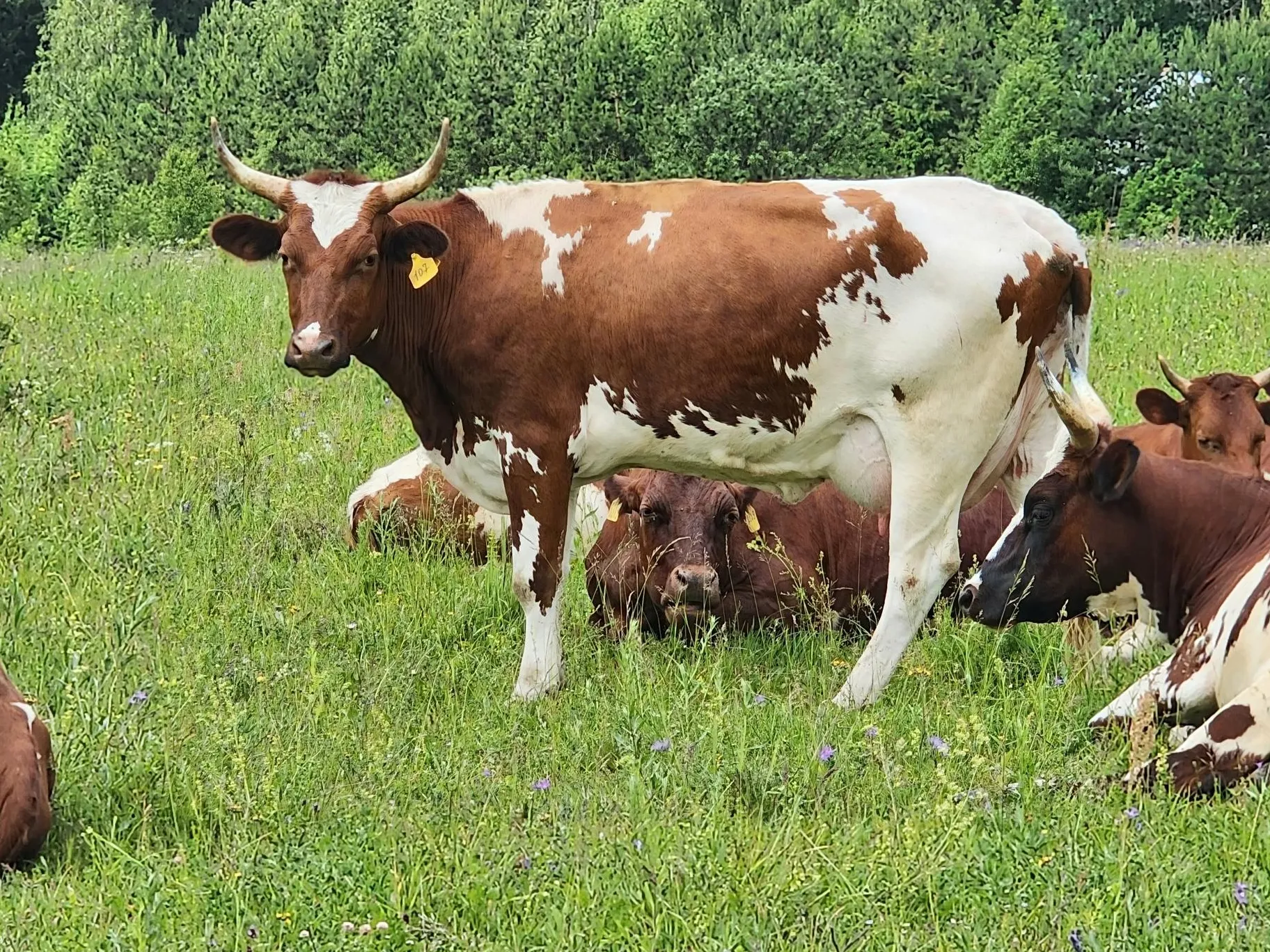 Фото: Анна Тюрюмина&nbsp; &nbsp;