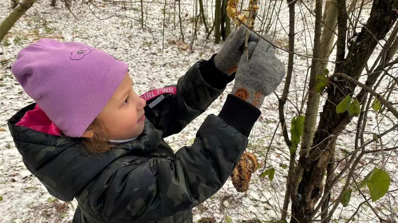 Комитет лесного хозяйства МО