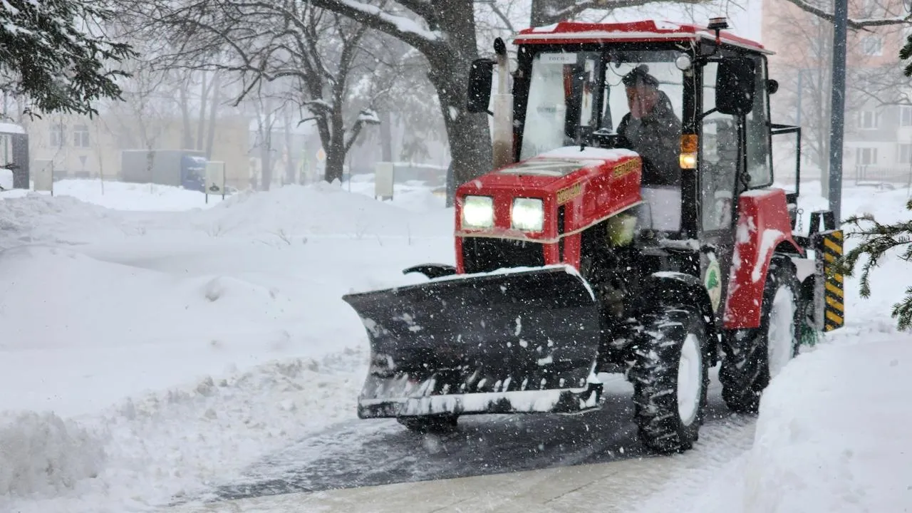 REGIONS/Мария Шигорева