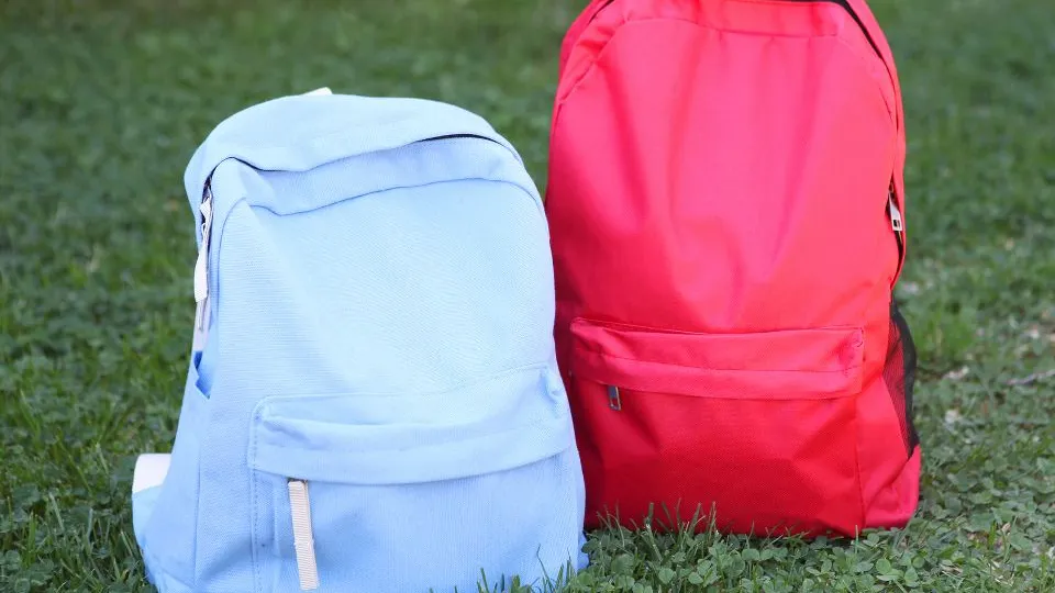 Фото: istockphoto.com/White Bear Studio