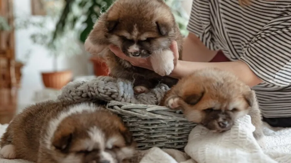 Фото: freepik.com