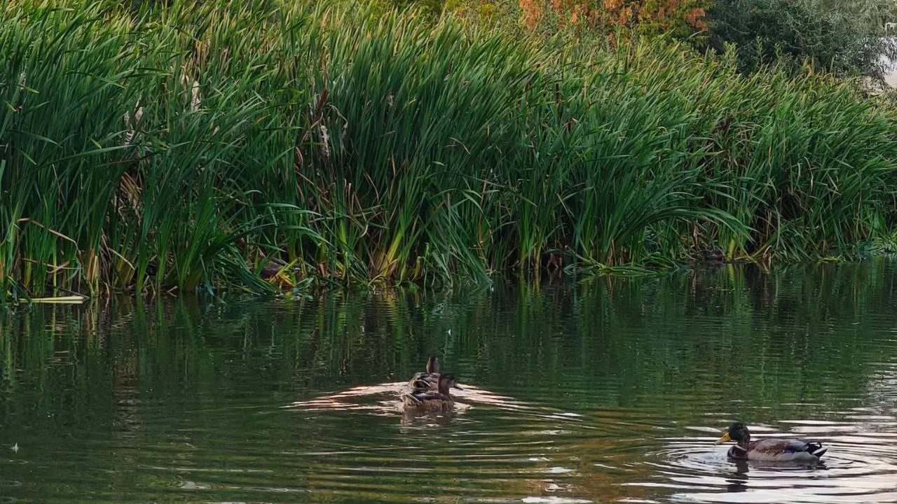 Фото: предоставлено Анастасией Широкой