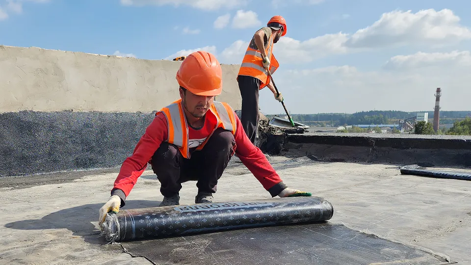 Фото: МедиаБанк Подмосковья/Екатерина Данилина