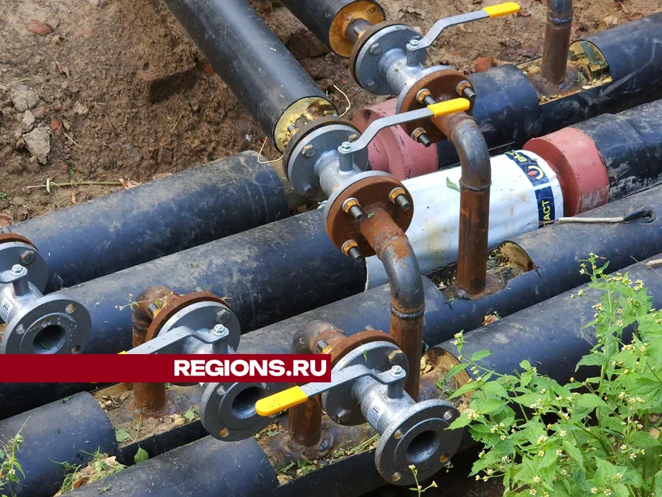 Фото: Валерия Тингаева