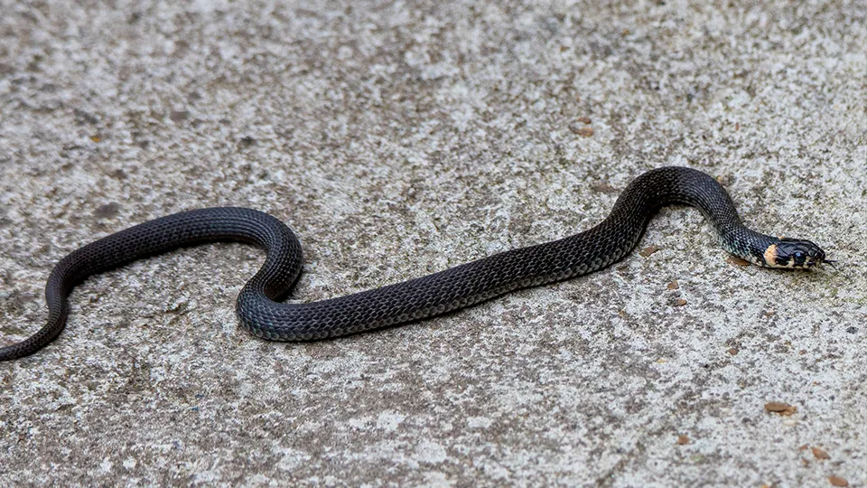 Фото: istockphoto.com