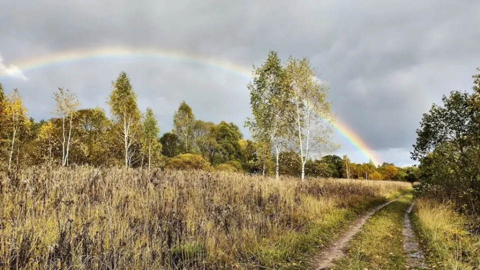 Фото: REGIONS/Алексей Селиверстов