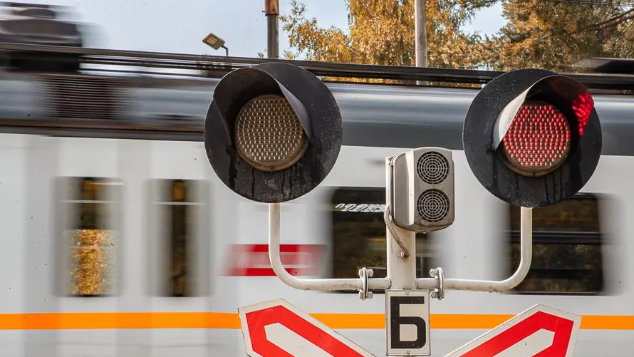 Фото: пресс-служба администрации Одинцовского г.о.