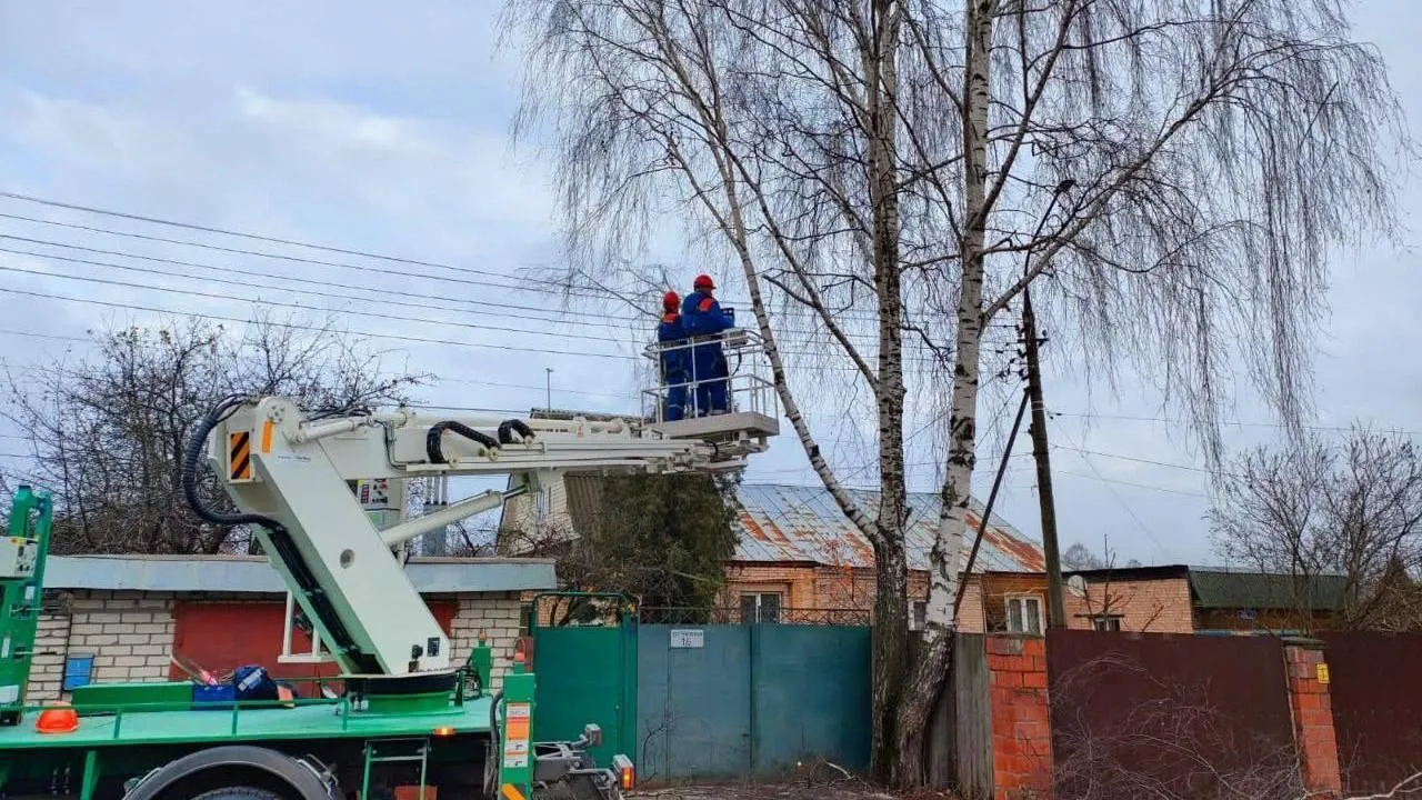 Подмосковные энергетики за три месяца расчистили более 300 га охранных зон ЛЭП