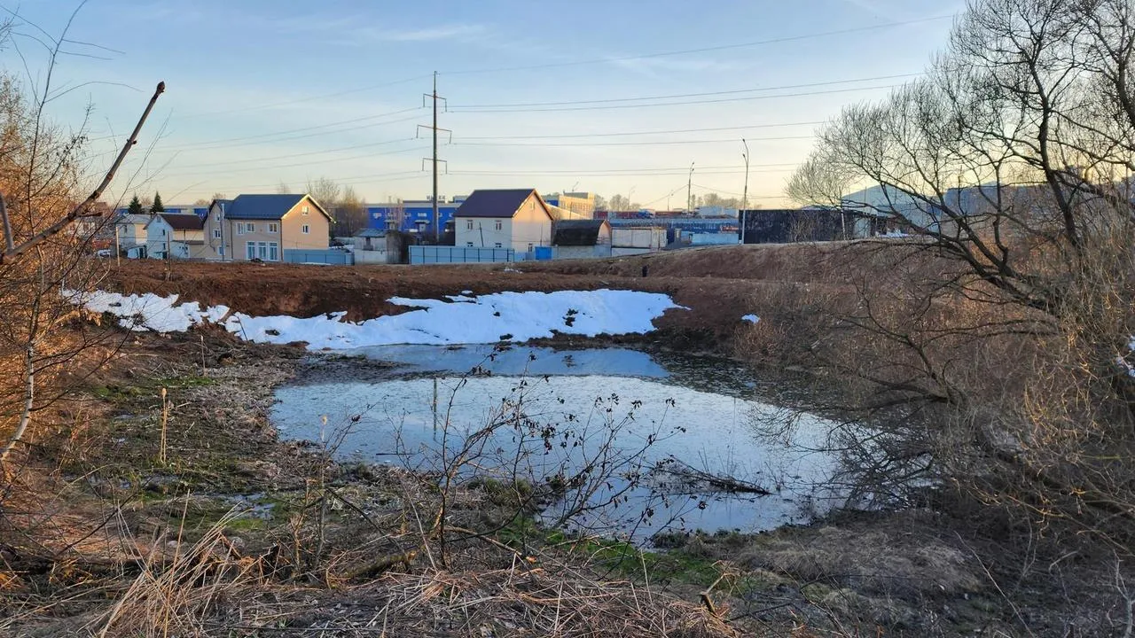 МедиаБанк Подмосковья/Валерия Исаева