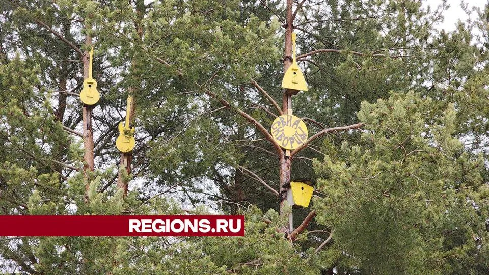 Фото: Ольга Сычева