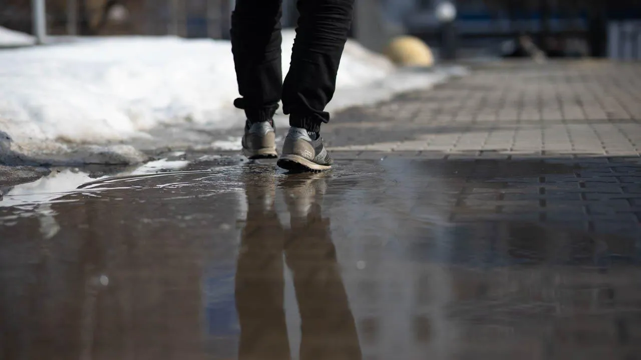 REGIONS/Роман Малышенко