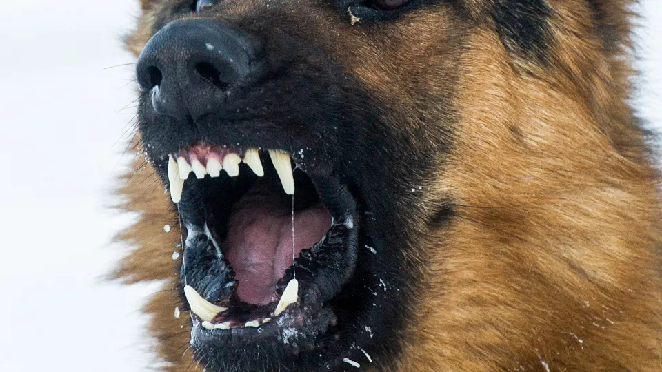 Фото: ТАСС/Кирилл Кухмарь