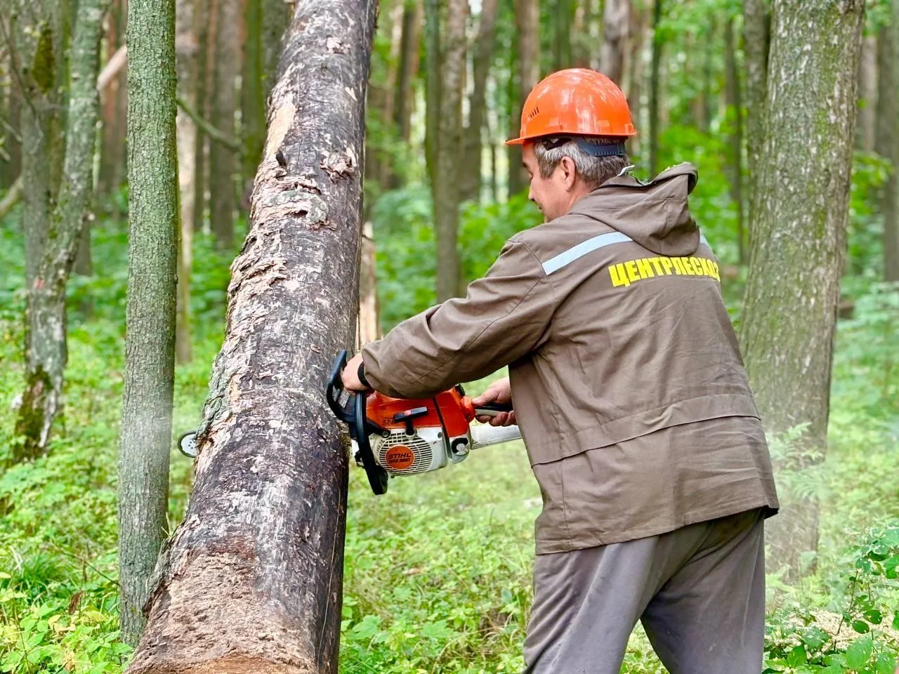 Фото: пресс-служба администрации г.о. Воскресенск