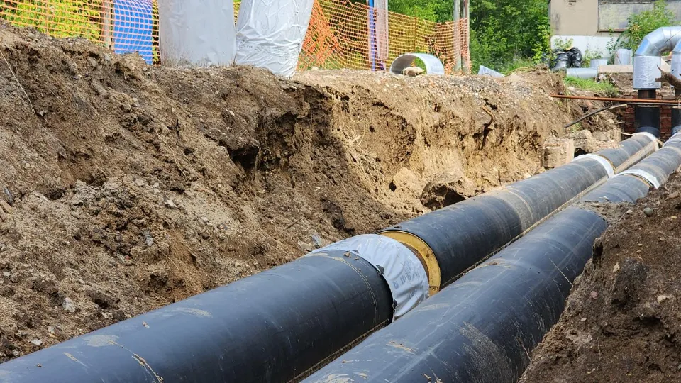 Фото: МедиаБанк Подмосковья/Валерия Тингаева