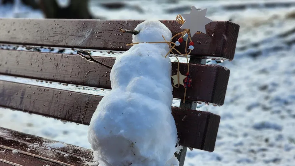 Фото: МедиаБанк Подмосковья / Екатерина Данилина
