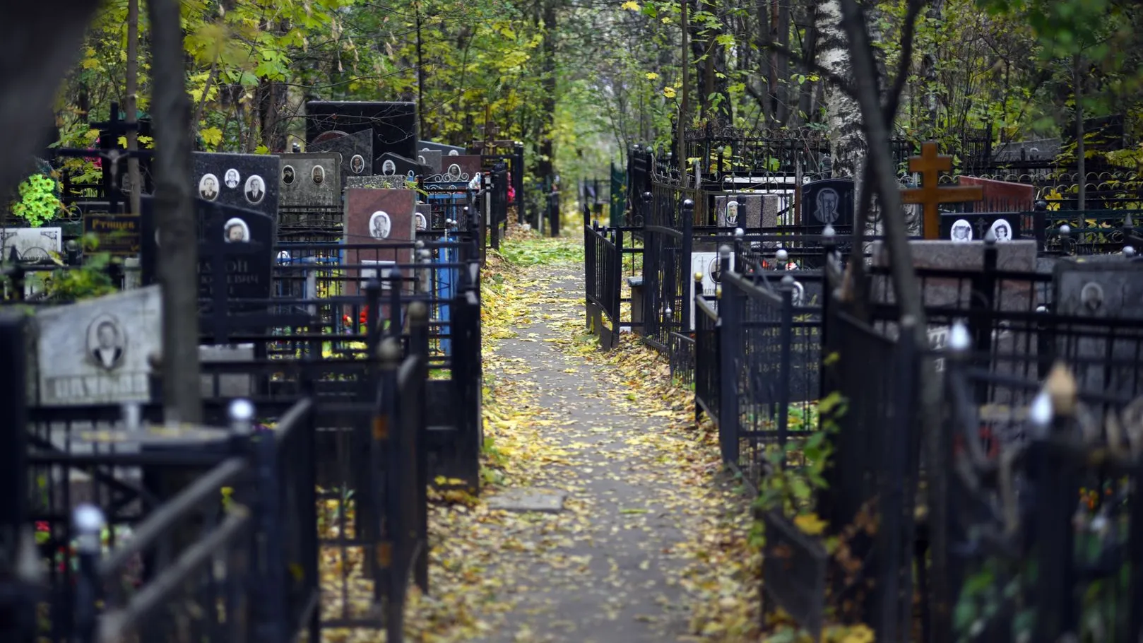 Фото: медиасток.рф
