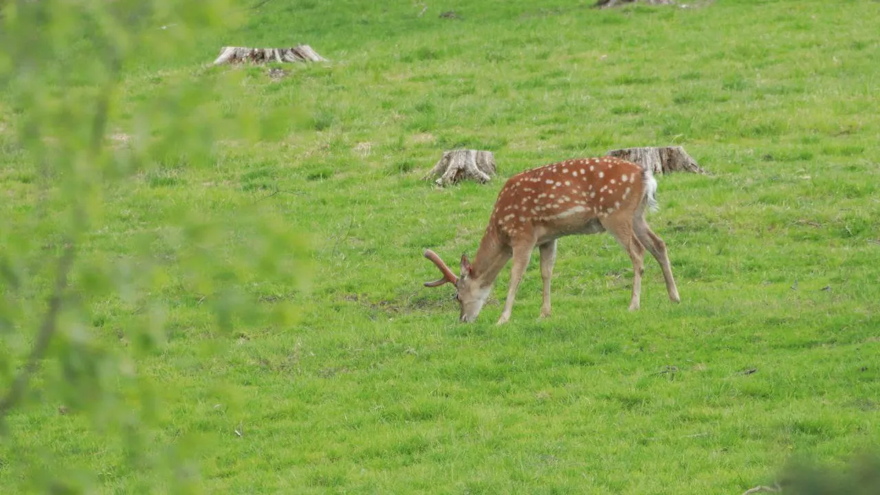 Фото: А. Ульянов
