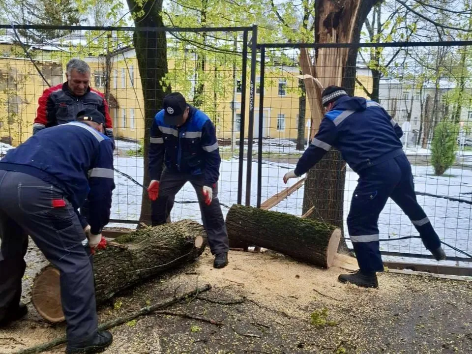 Фото: Минчистоты Московской области