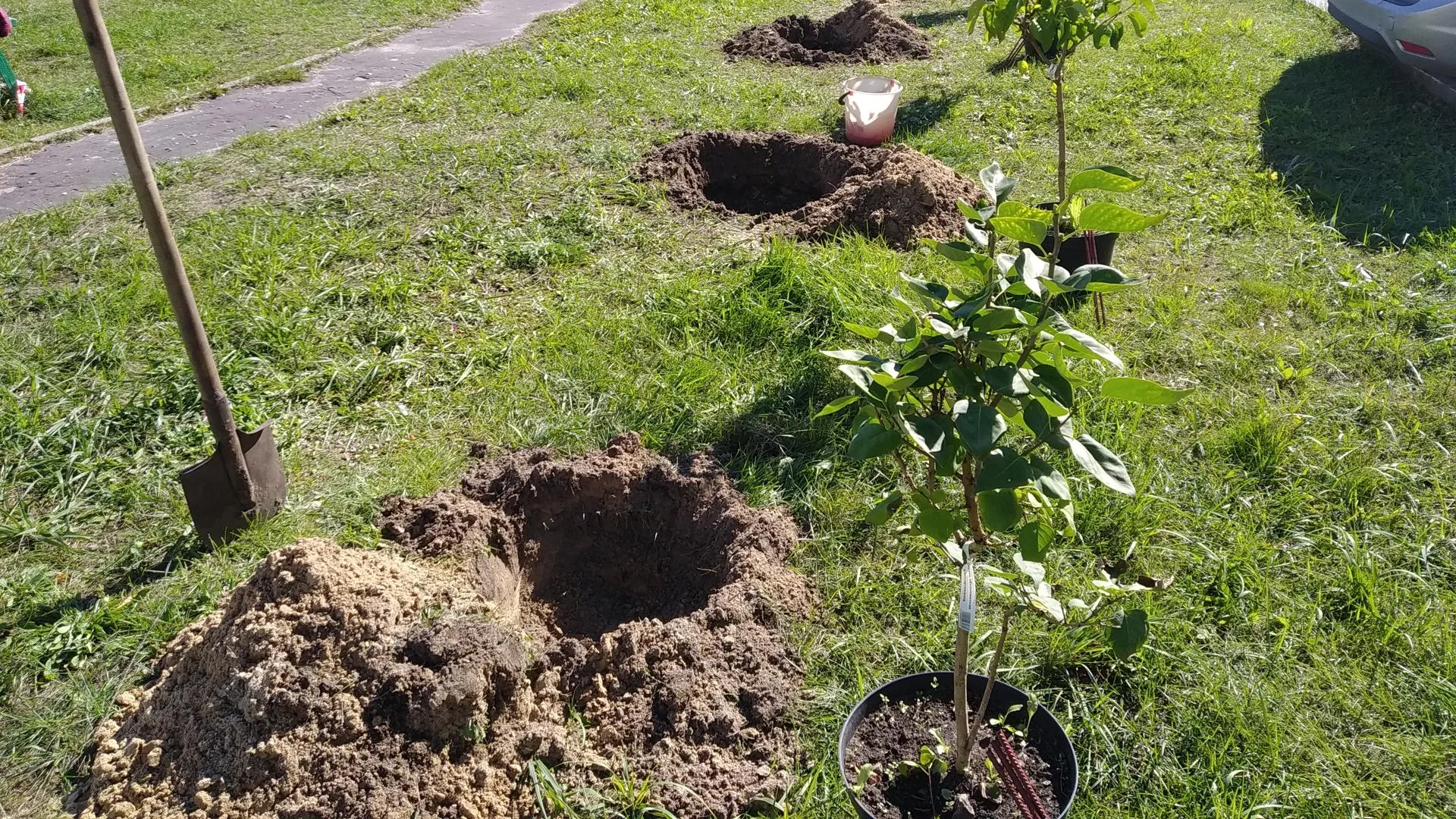 Фото: Татьяна Синельникова