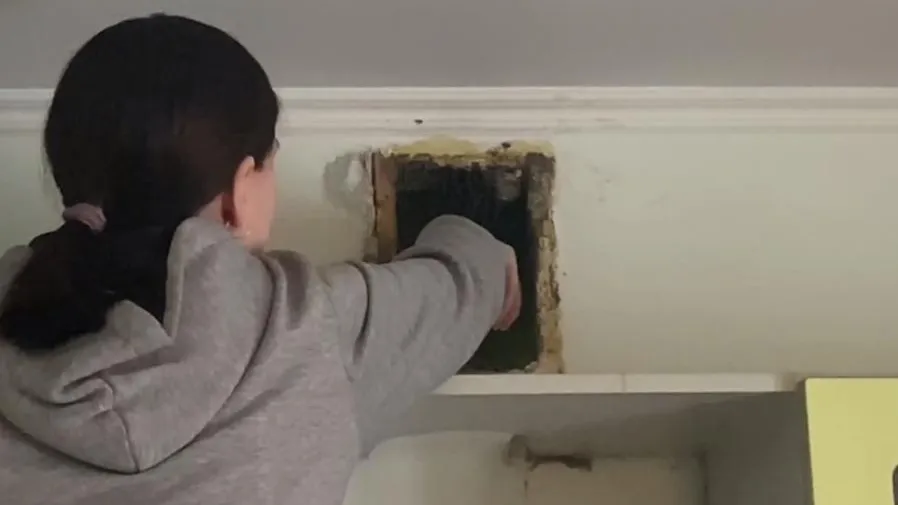 Фото предоставила зоозащитница Юлия