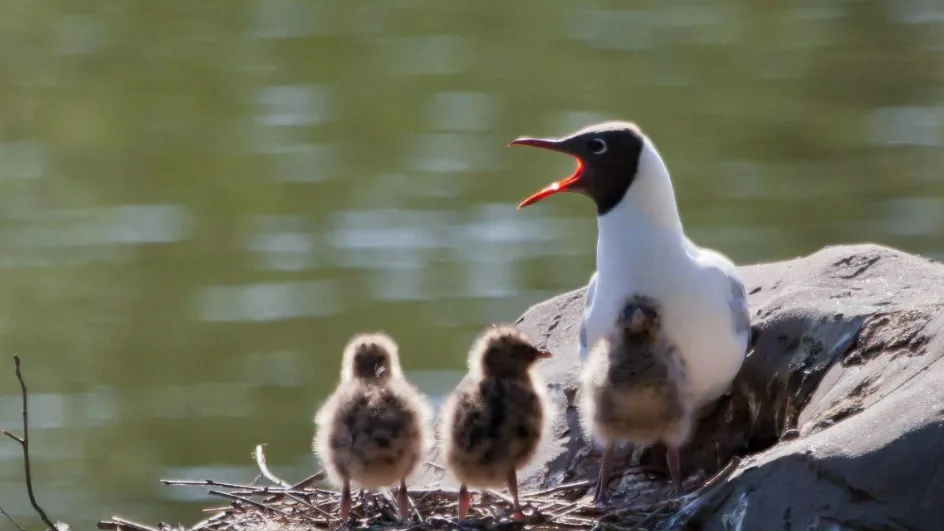 Фото: Михаил Семенов