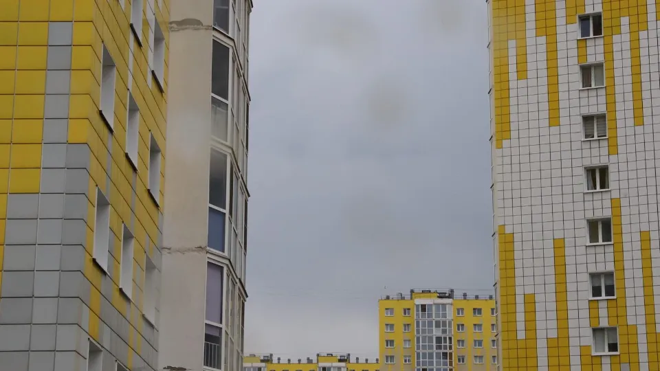 Фото: пресс-служба администрации г.о. Солнечногорск