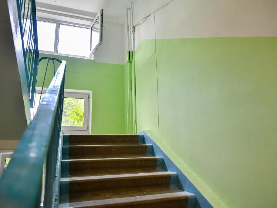 Фото: пресс-служба администрации г.о. Химки