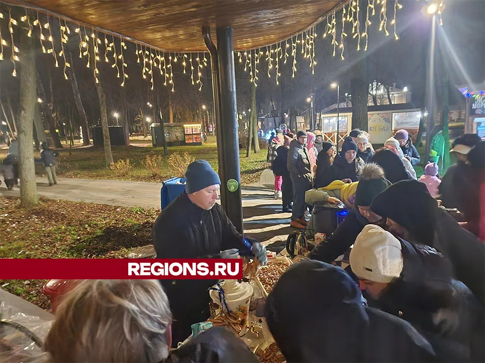 Фото: REGIONS/Александр Степушкин