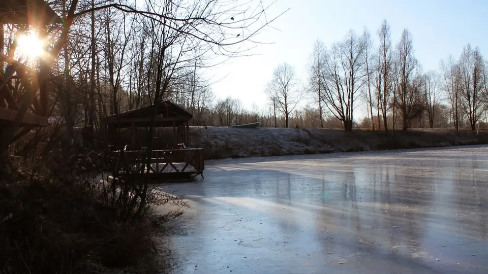 Фото: медиасток.рф