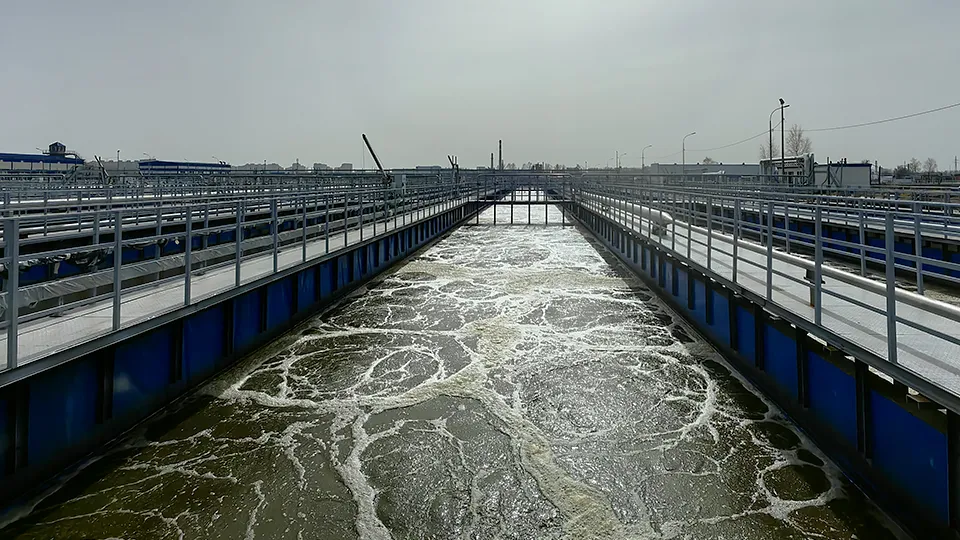 Фото: МедиаБанк Подмосковья/Елена Катасонова