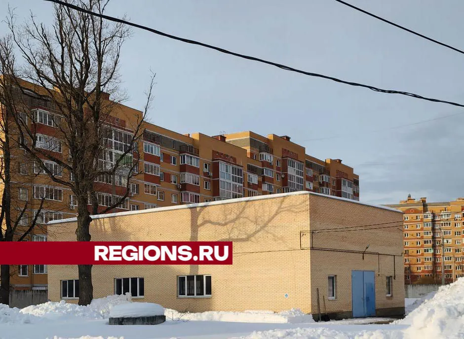 Фото: Валерия Тингаева