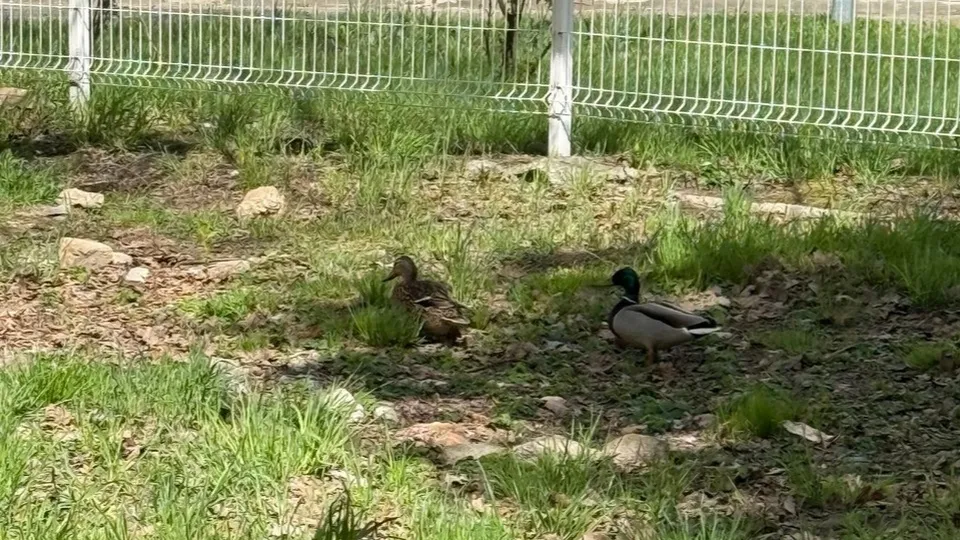 Фото: Алина Бавыкина