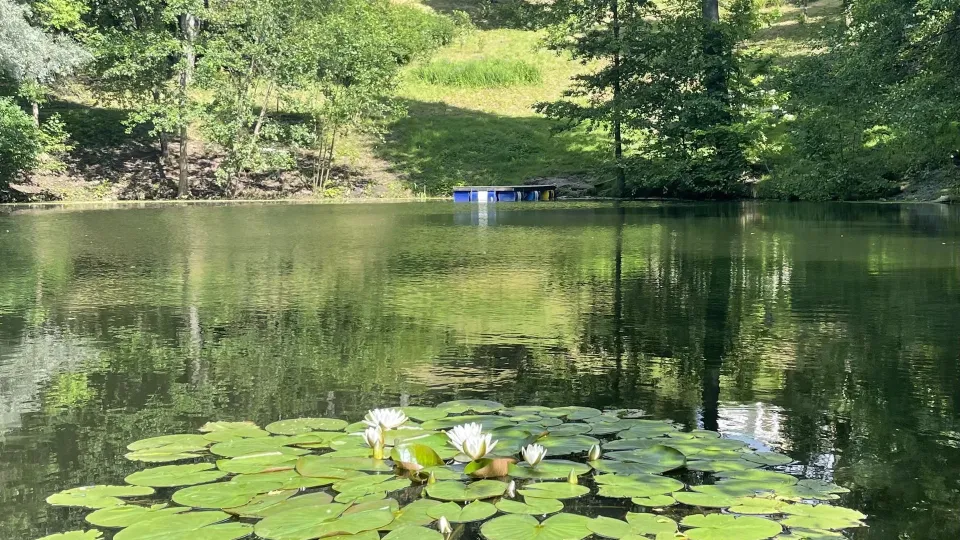 Фото: Администрация Ленинского городского округа