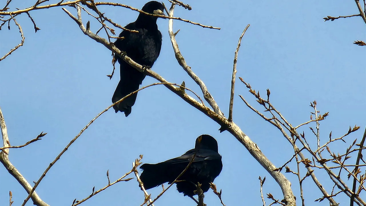 Медиабанк Подмосковья/Мария Панина