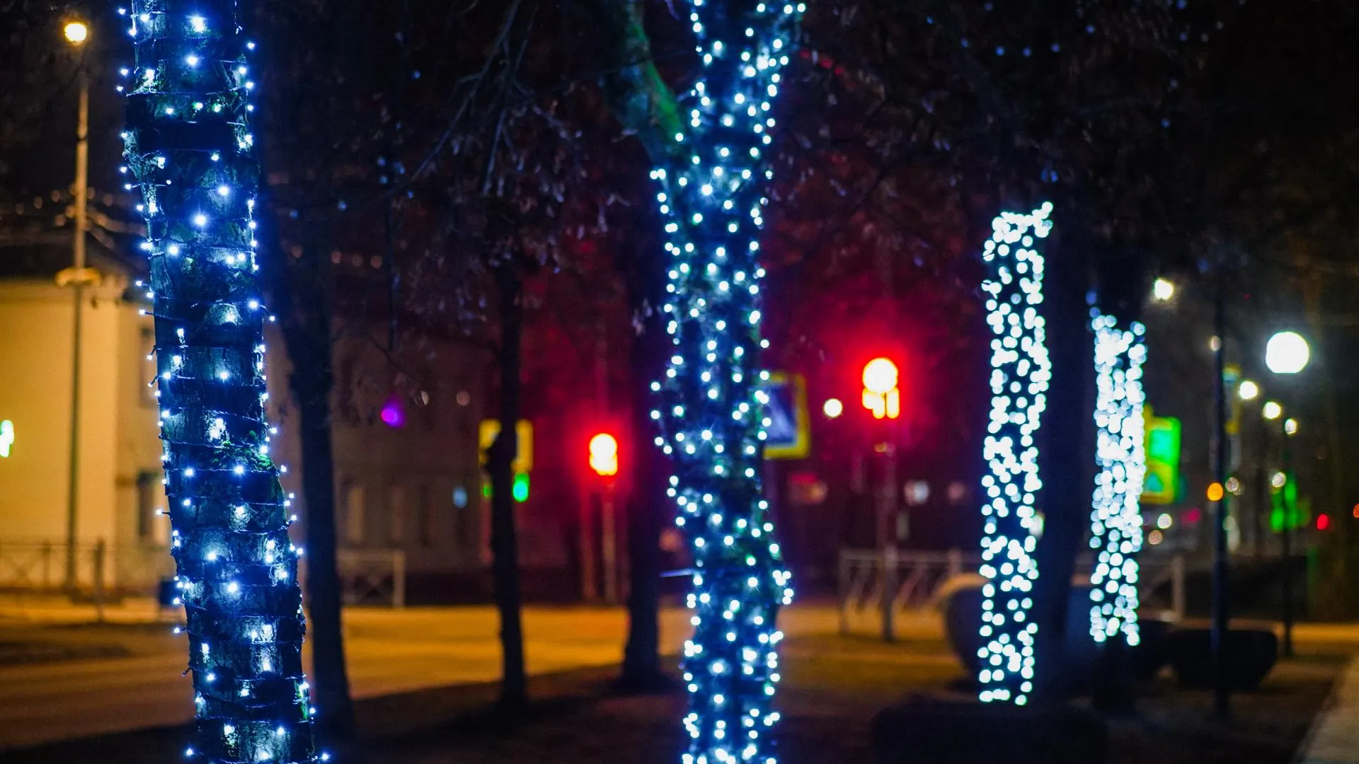 Фото: пресс-служба администрации Шатурского округа