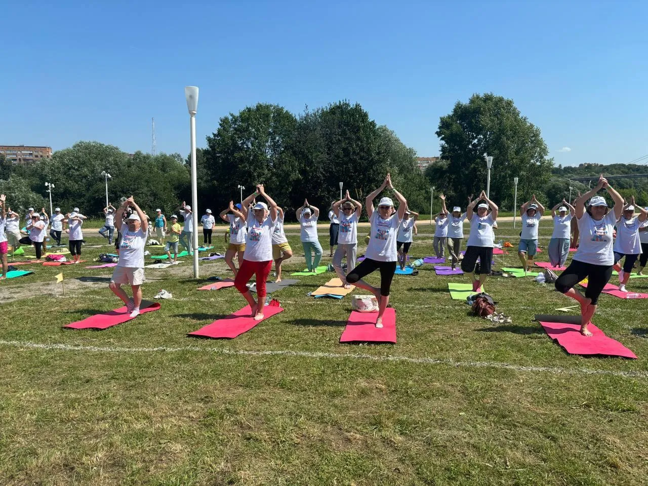 Фото: t.me/aktivelektrostal