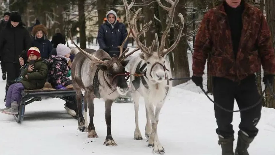 Фото: администрация городского округа Истра/Татьяна Прокофьева