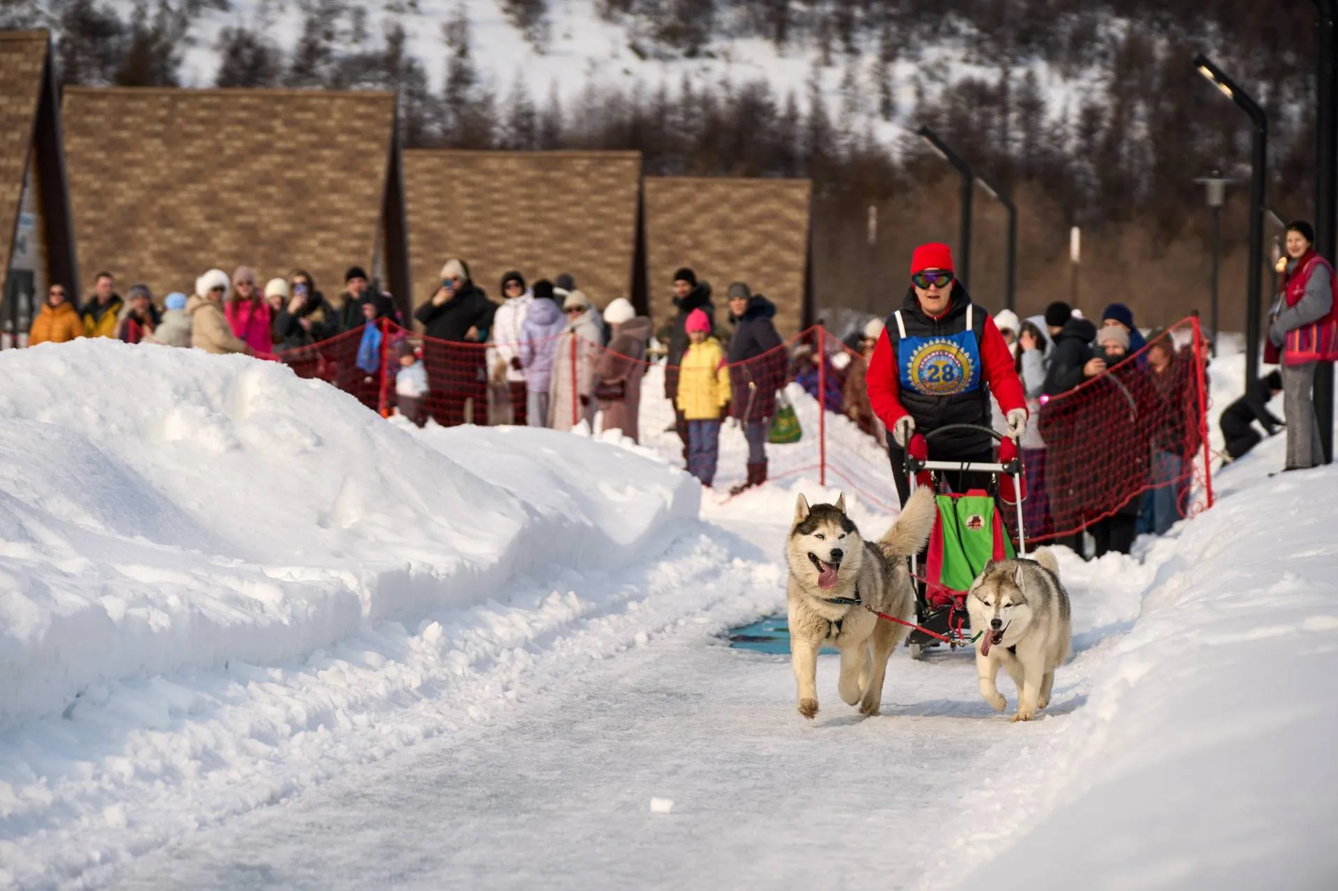 Губернатор Магаданской области Сергей Носов