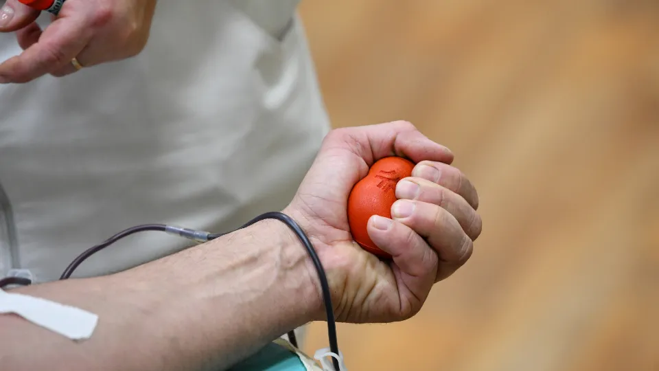 Фото: МедиаБанк Подмосковья/Иван Чижов