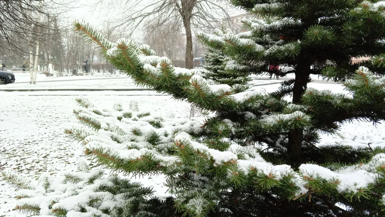 Фото: REGIONS/Василий Тремасов