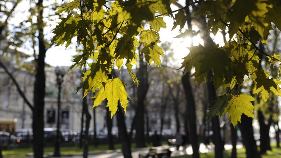 Фото: Медиаархив Подмосковья