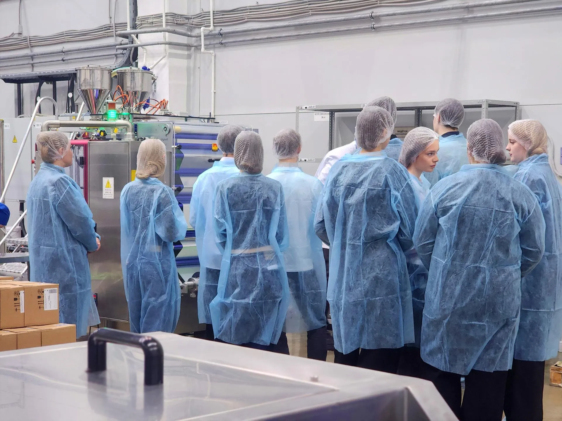 REGIONS/Полина Пахомова