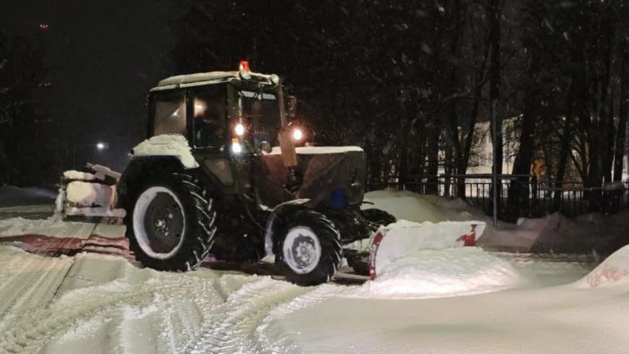 МедиаБанк Подмосковья/Екатерина Данилина